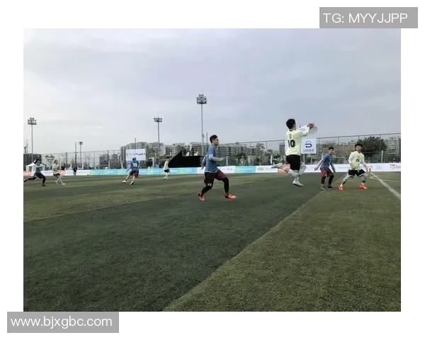 成都飞盘队快攻战术分析与得失总结探讨